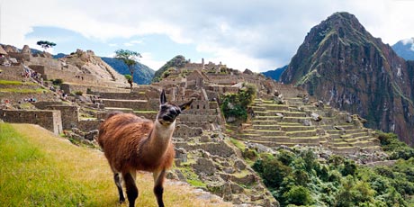 Tour Machu Picchu por carro